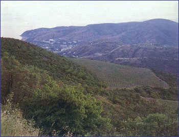 ������������ ������-������ "�������������"