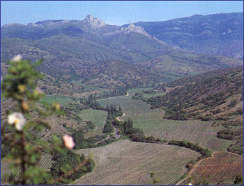 ������������ ������-������ "���������"